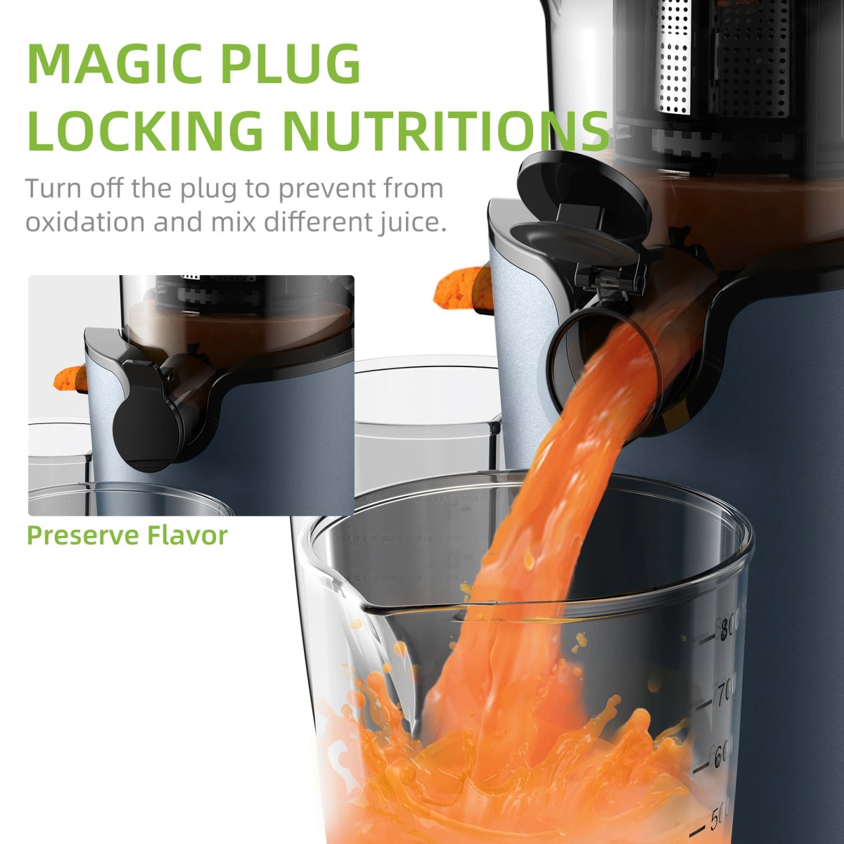 Koude Pers Juicer 200W voor Fruit en Groenten 5